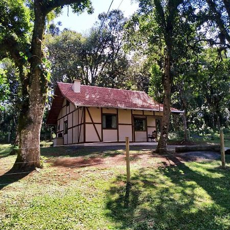 カンポ・アレグレ Casa Goethe - Bio Cultヴィラ エクステリア 写真