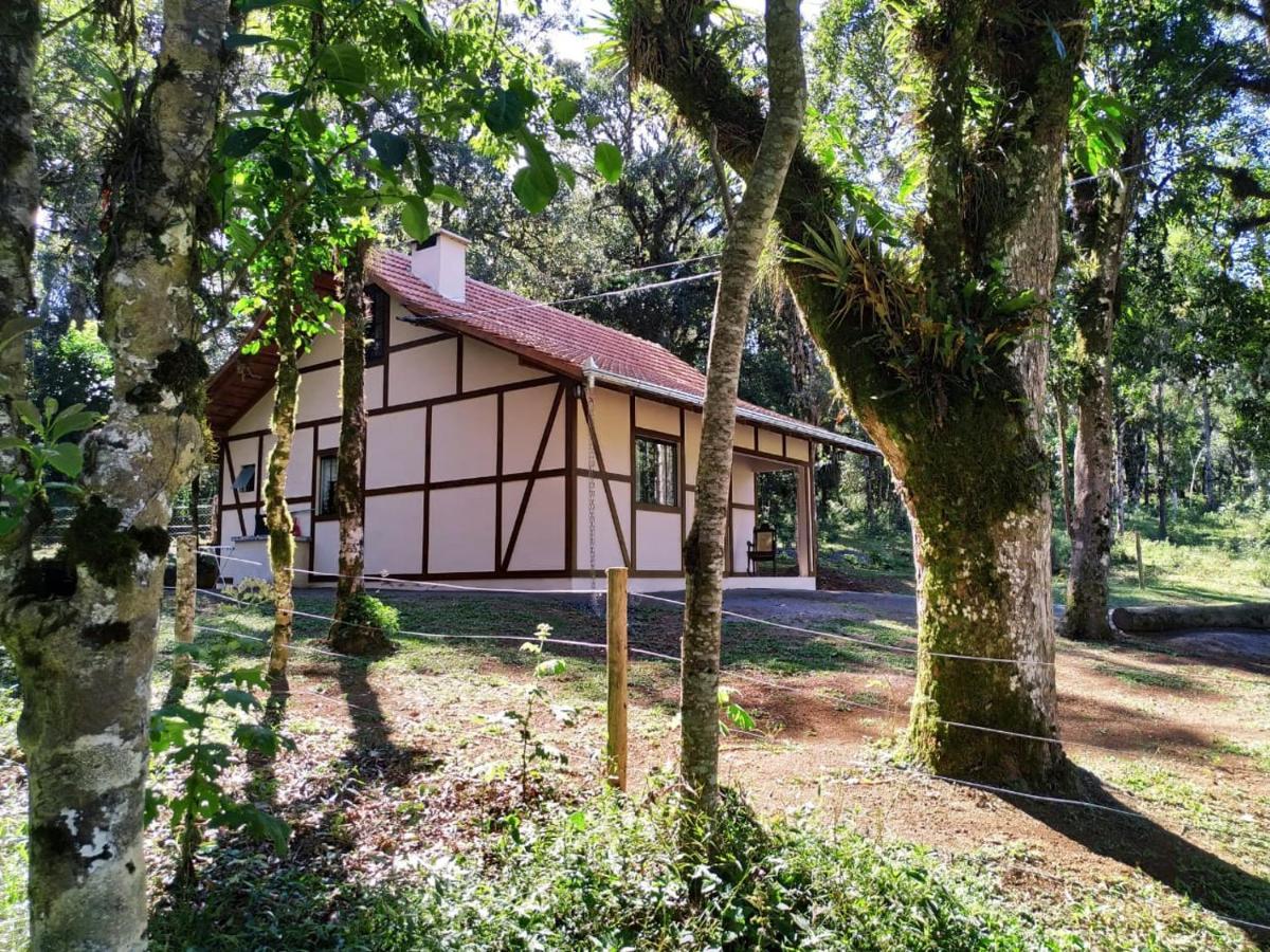 カンポ・アレグレ Casa Goethe - Bio Cultヴィラ エクステリア 写真